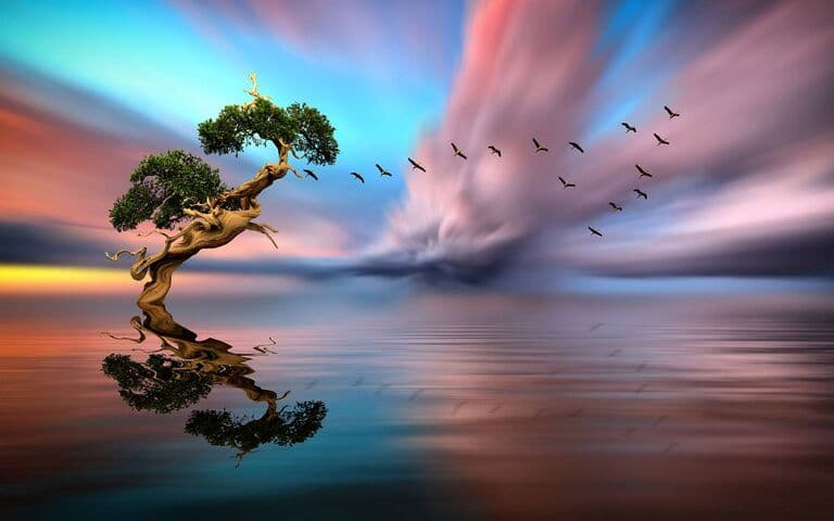 Banner Mobile 2